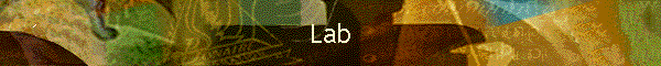 Lab
