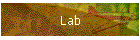 Lab