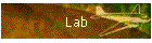 Lab