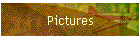 Pictures