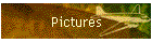 Pictures