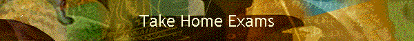Take Home Exams