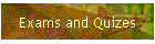 Exams and Quizes