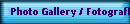 Photo Gallery / Fotograflar